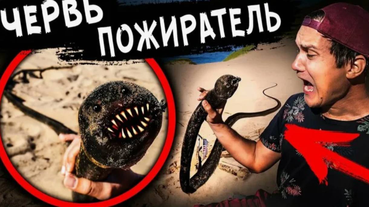 ГИГАНТСКИЙ ЧЕРВЬ ПОЖИРАТЕЛЬ НАПАЛ на нас Откопали ПЕСЧАНОГО ЧЕРВЯ ПОЖИРАТЕЛЯ Дом Кадиллак США
