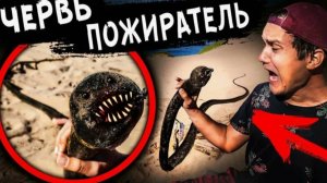 ГИГАНТСКИЙ ЧЕРВЬ ПОЖИРАТЕЛЬ НАПАЛ на нас Откопали ПЕСЧАНОГО ЧЕРВЯ ПОЖИРАТЕЛЯ Дом Кадиллак США