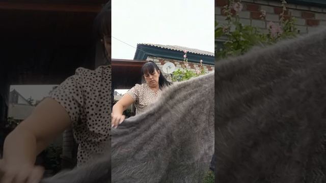 1000183905.mp4 Скидочки.т.89020931602 смотреть онлайн