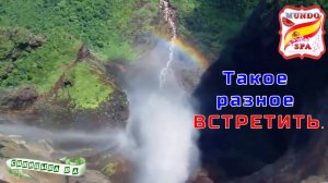 207. Такое разное ВСТРЕТИТЬ.