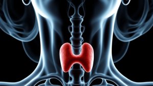 Боли в тазу, щитовидка, нарушение цикла и что общего между ними. Пример из практики