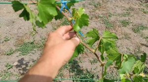 2 августа 2025