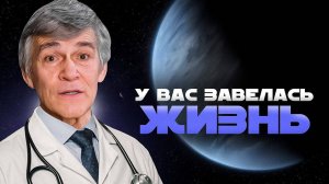 Жизнь на планете K2-18 b и на Марсе: НОВЫЕ ДАННЫЕ. Владимир Сурдин