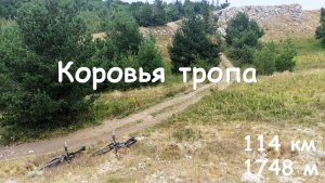 Коровья тропа - 02.08.2025 г.