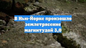 В Нью-Йорке произошло землетрясение магнитудой 3,0