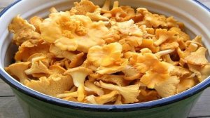 Икра из лисичек