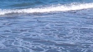 Hard ocean-Sergey Iablokov.