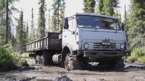 Лесовозная доля