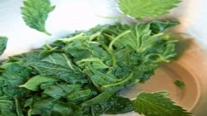 Гренки с крапивой