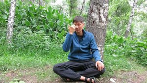 Трансформация сексуальной энергии в духовную Микрокосмическая орбита  Цигун часть 2 Митрий Т