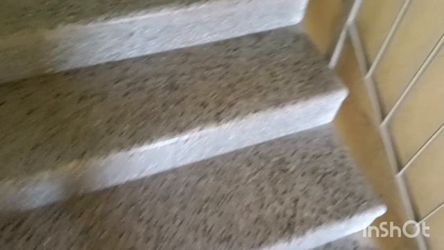 Лифт OTIS 1000R 2008 г смотреть онлайн