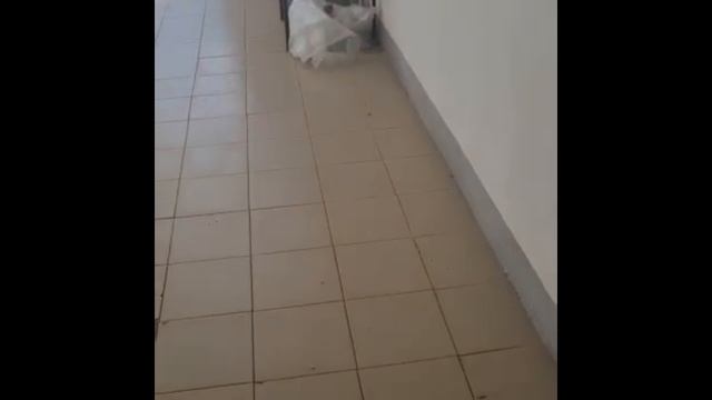 03-08-2025 2-я Левонабережная 12/1 70 м смотреть онлайн