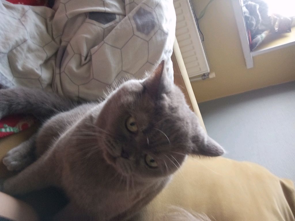Дымкааа