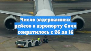 Число задержанных рейсов в аэропорту Сочи сократилось с 26 до 16