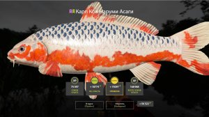 ВСЕ ТОЧКИ ДЛЯ СУПЕР ФАРМА НА МЕДНОМ ОЗЕРЕ, АРХИПЕЛАГЕ И МОРЕ В РУССКОЙ РЫБАЛКЕ 4 РР4