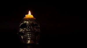 5555529-uhd_3840_2160_24fps