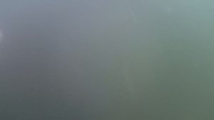 ﹤﹤Камера зафиксировала всё: мой первый опыт плавание с экшн камерой﹥﹥