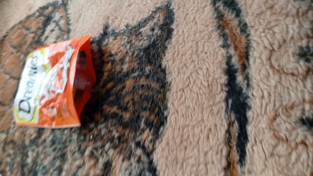 пробувка вкусняшек. смотреть онлайн