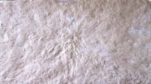 Фокачча (без вымешивания теста)