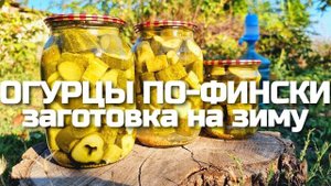 ОГУРЦЫ по-фински! Быстрая и простая заготовка на зиму! В этом году ЗАКРОЮ ПОБОЛЬШЕ! Любимые Огурцы!