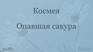 Онлайн-курс "Космея - опавшая сакура"
