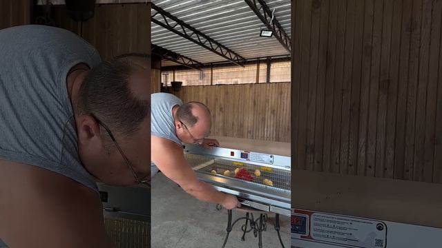 Брудер для цыплят шириной 120 см на 150 голов смотреть онлайн