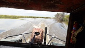 По кривой экономичный ход