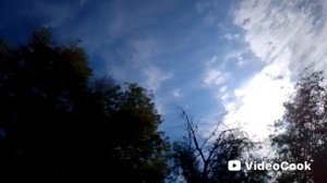 Игорь Николаев и Игорь Крутой - Мой друг