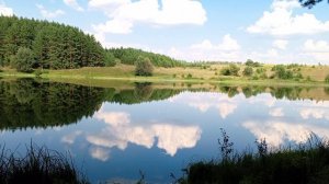 летний пруд