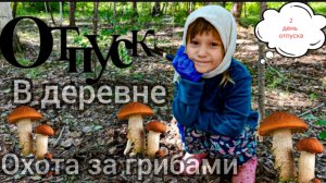 Первая охота на грибы в 2025 году