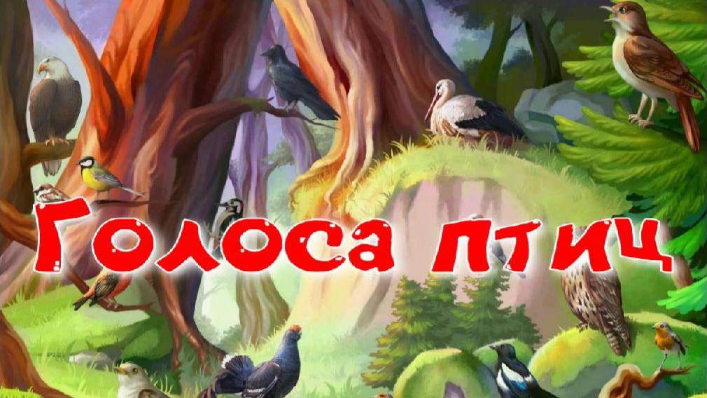 Голоса птиц России.