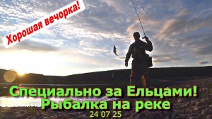 Специально за Ельцами Рыбалка на реке 24 07 25