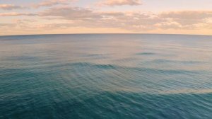 В океане часть 1