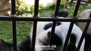 ☀️ Летний отдых Катюши