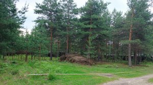 567. Участок 8 соток снт Калинка, г. Электрогорск, Московской области