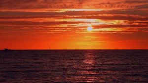 В океане часть 5