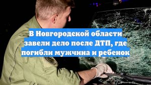 В Новгородской области завели дело после ДТП, где погибли мужчина и ребенок