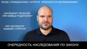 Кто такие наследники по закону, в какой очередности они призываются к наследованию?