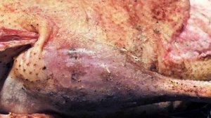 Гренки с куриным бульоном