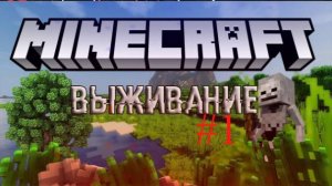 Играю на выживании в Minecraft. Версия 1.12.2. #1