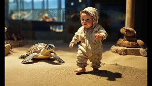 смешная черепаха