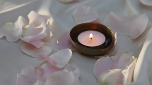 7303017-hd_1920_1080_30fps