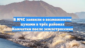 В МЧС заявили о возможности цунами в трёх районах Камчатки после землетрясения