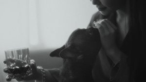 13698405-uhd_3840_2160_25fps