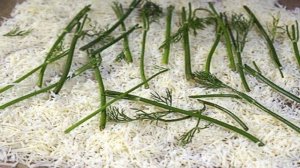 Форель Эрланген