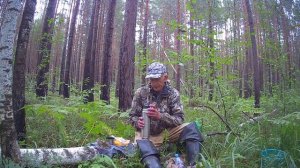 За черникой (часть 2). Рухнул вместе с березой.