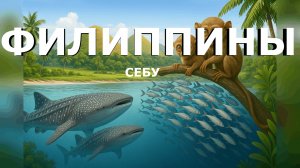 Погружение в Себу - китовые акулы, сардины и филиппинские долгопяты