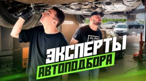 Как стать экспертом автоподбора: обучение от Clinlicar