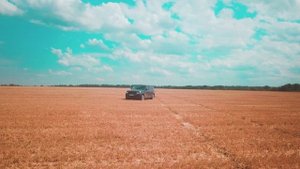 Range rover в поле