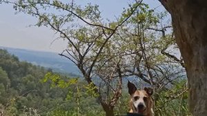 Пещерная находка.